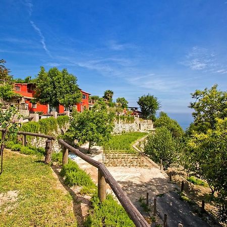 Agriturismo Pera Di Basso Casamicciola Terme Buitenkant foto