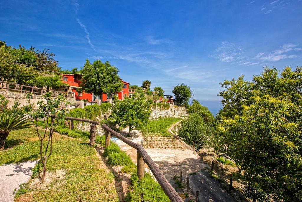 Agriturismo Pera Di Basso Casamicciola Terme Buitenkant foto