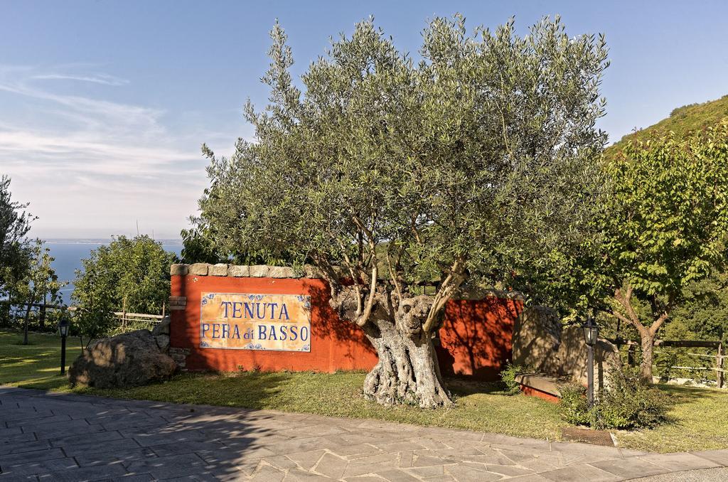 Agriturismo Pera Di Basso Casamicciola Terme Buitenkant foto