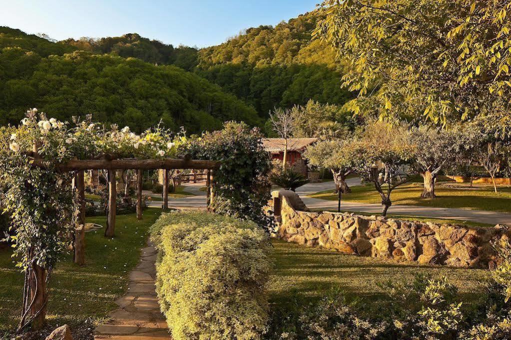 Agriturismo Pera Di Basso Casamicciola Terme Buitenkant foto