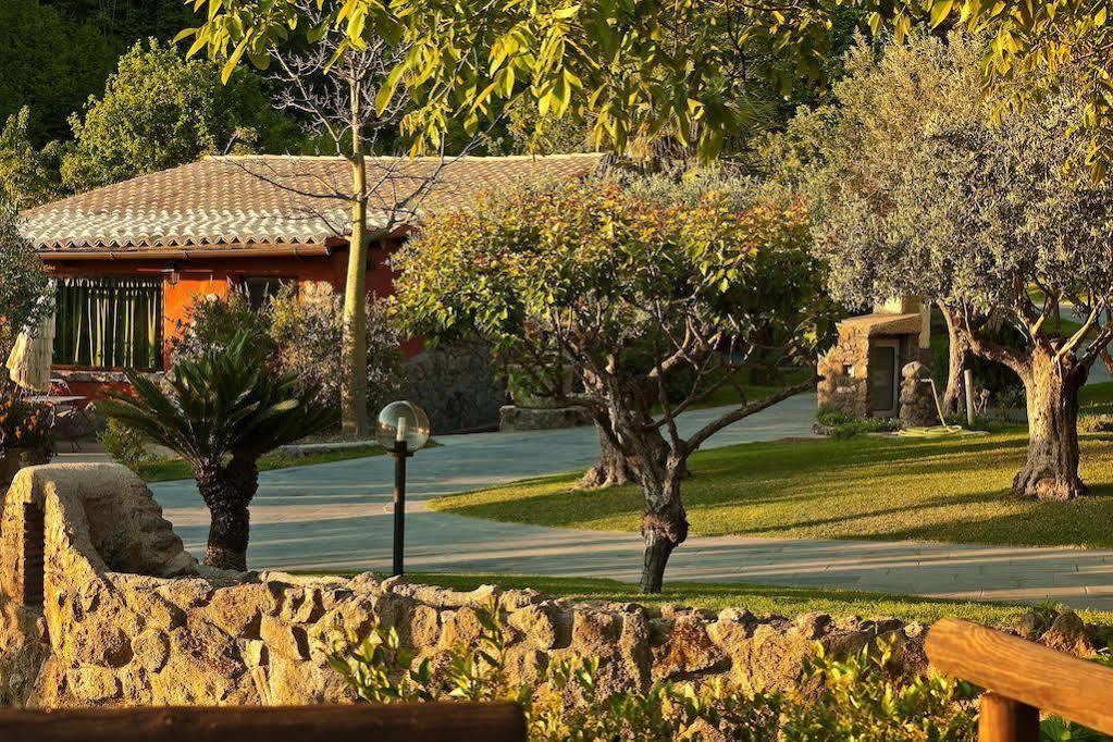 Agriturismo Pera Di Basso Casamicciola Terme Buitenkant foto