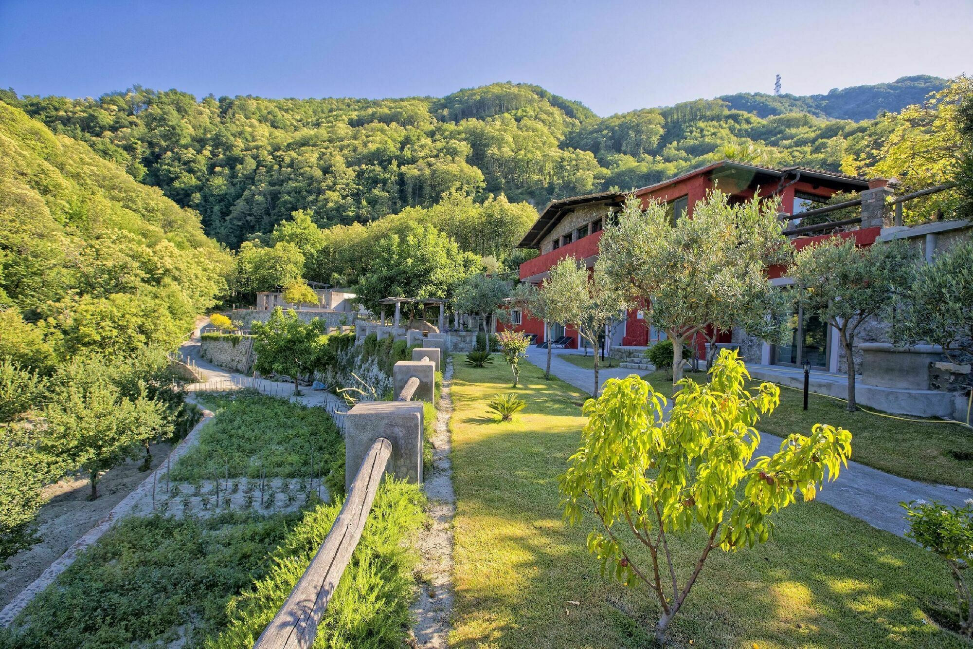 Agriturismo Pera Di Basso Casamicciola Terme Buitenkant foto